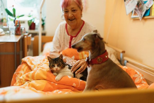 Animaux de compagnie : quelques histoires inspirantes à leurs sujets