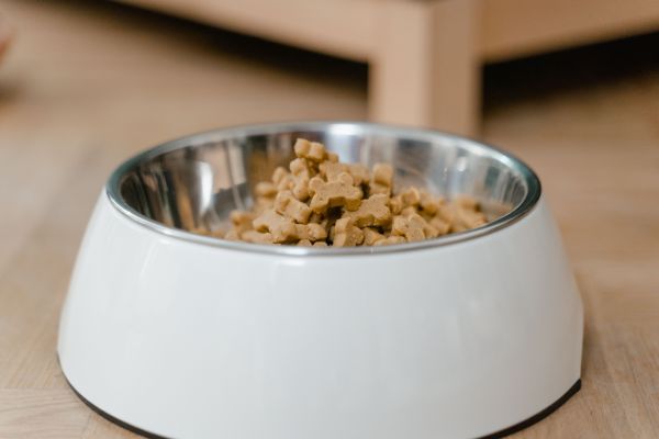 Croquettes sans céréale goût canard : pour favoriser la santé et le bien-être de votre chien