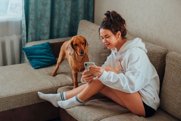 Le code promo : comment s'en servir pour un achat d'équipement animalier plus avantageux ?