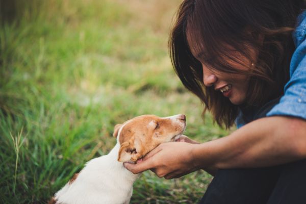 Les bienfaits de la terre de diatomée pour la santé de votre chien ou de votre chat ?