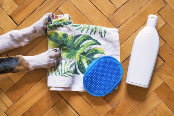 Pourquoi les produits Ladybel sont importants pour s'assurer de la beauté de son animal de compagnie ?