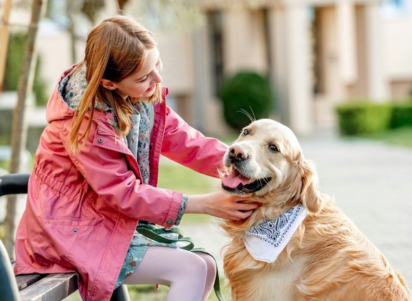 Guide ultime pour propriétaires de golden retrievers chez wouf cani